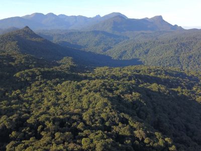 07/2019 - Serra do Mar. Foto: José Fernando Ogura/ANPr